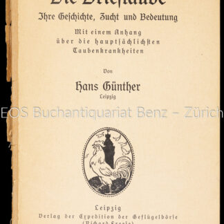 Günther, Hans: -Die Brieftaube.