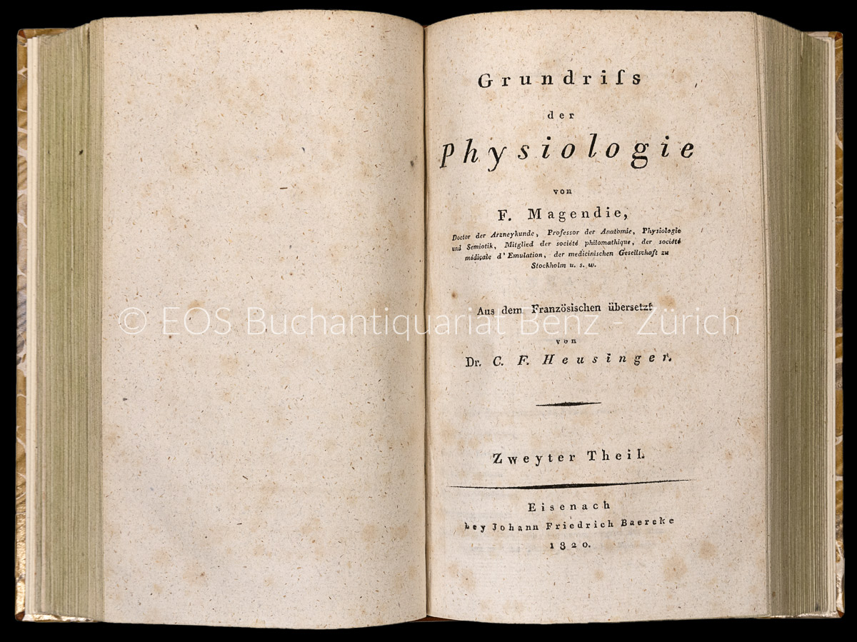 Magendie, François: Grundriss der Physiologie. - Image 2