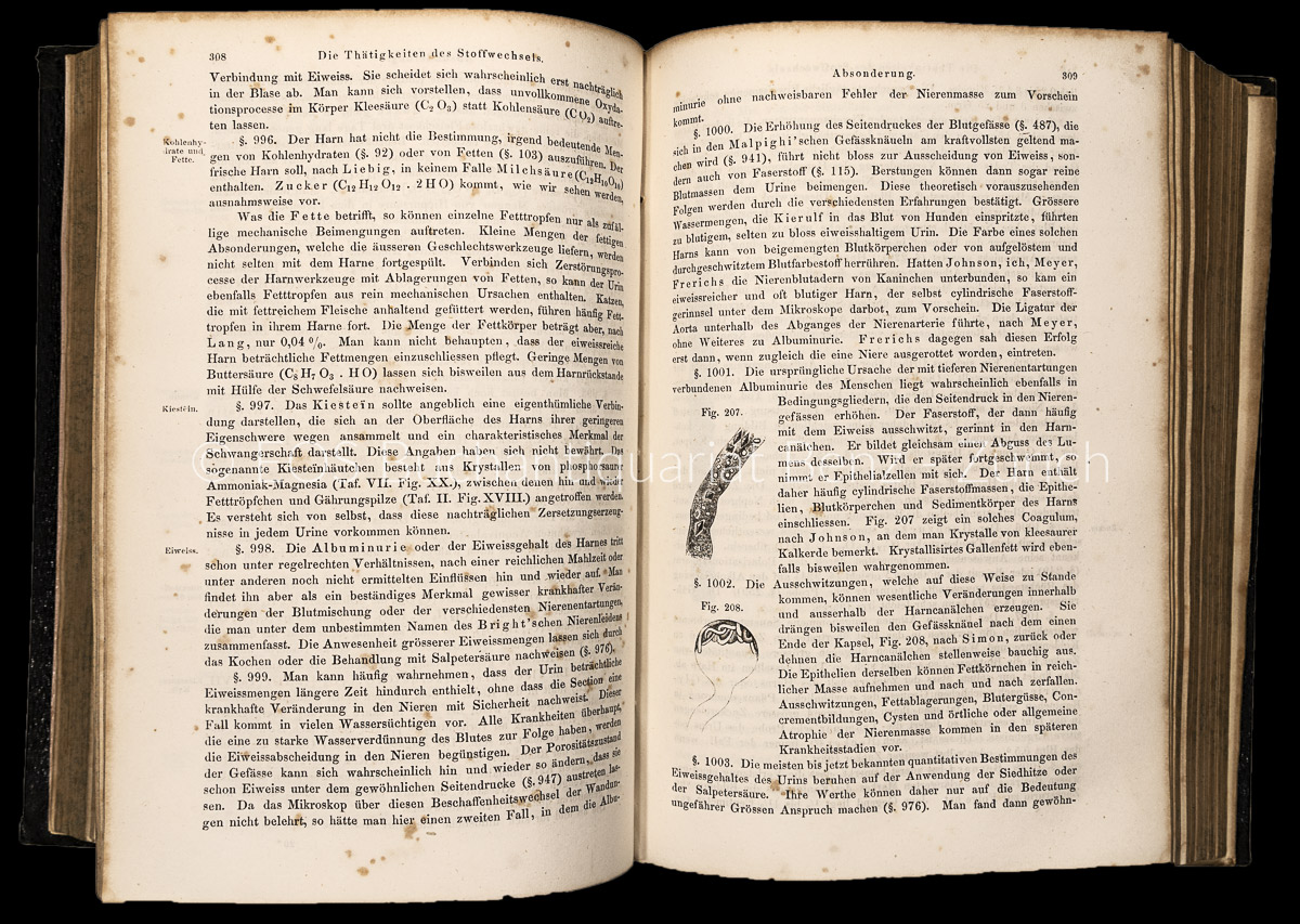 Valentin, Gabriel Gustav: Grundriß der Physiologie des Menschen. – Bild 2