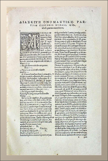 Camerarius, Joachim: -Commentarii utriusque linguae...