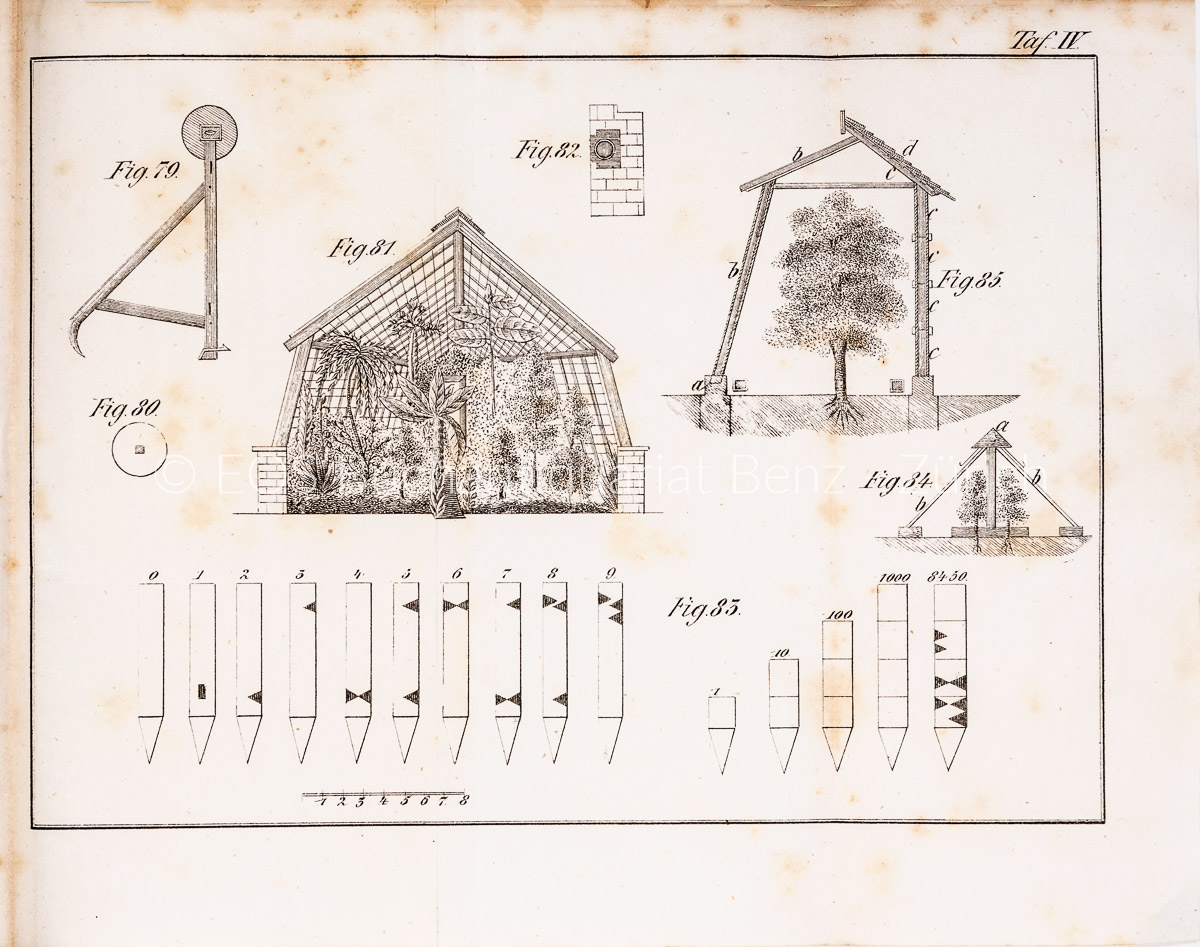 Ritter, Johann Albert: Allgemeines deutsches Gartenbuch. – Bild 2