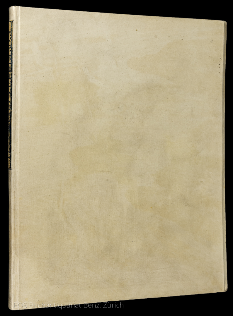 Zeppelin, Ferdinand von: Das Werk Zeppelins. – Bild 4