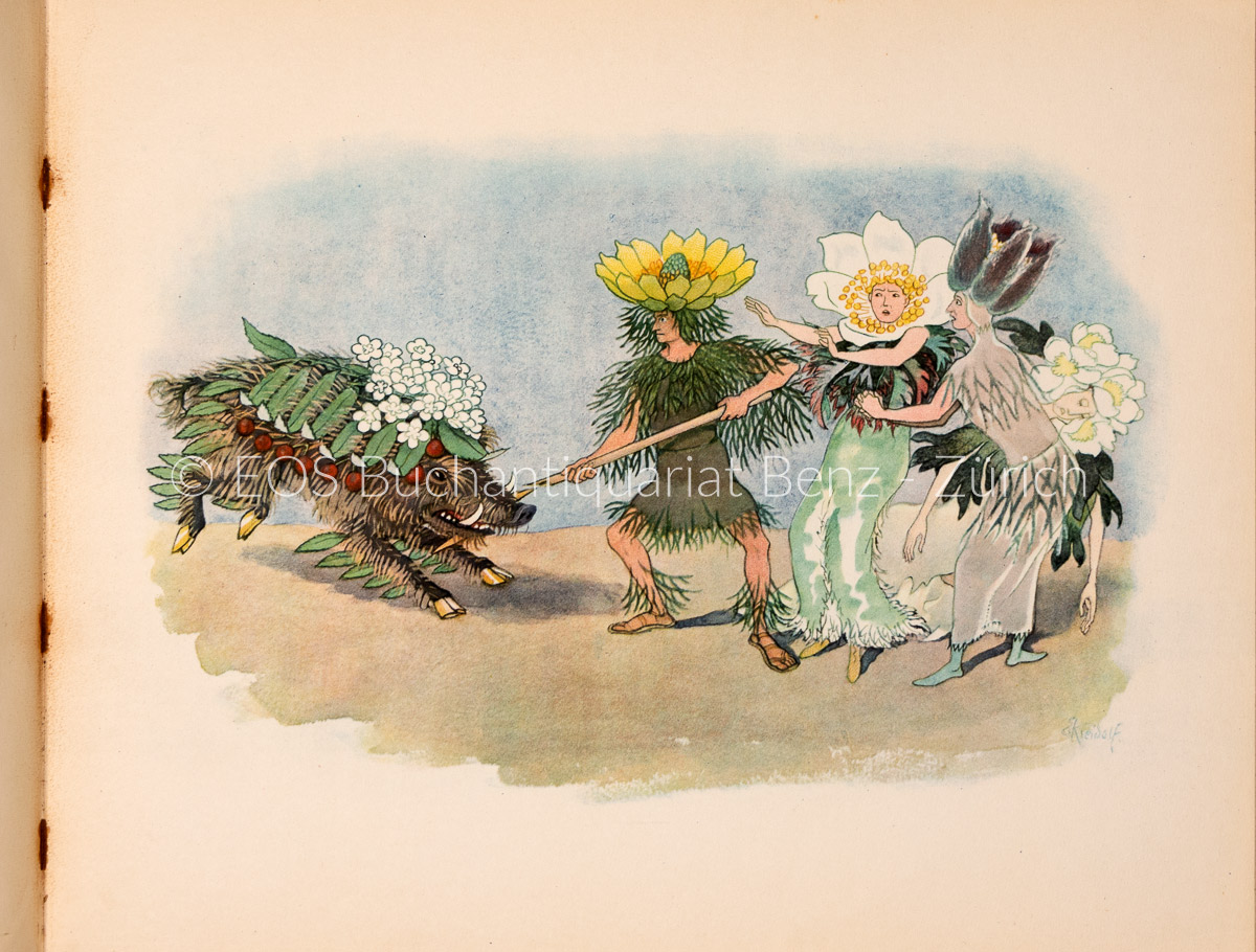 Kreidolf, Ernst: Alpenblumenmärchen. – Bild 4