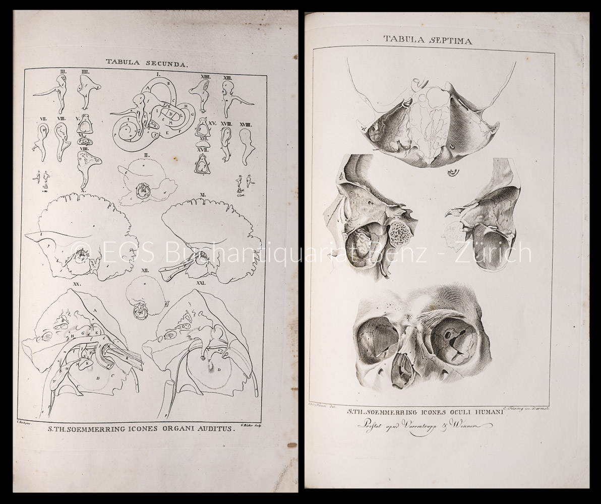 Soemmerring, Samuel Thomas v.: Icones oculi humani. – Bild 2
