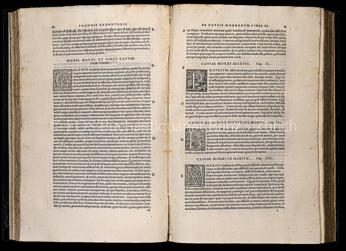 Argenterio, Giovanni: De morbis libri XIIII. – Bild 2