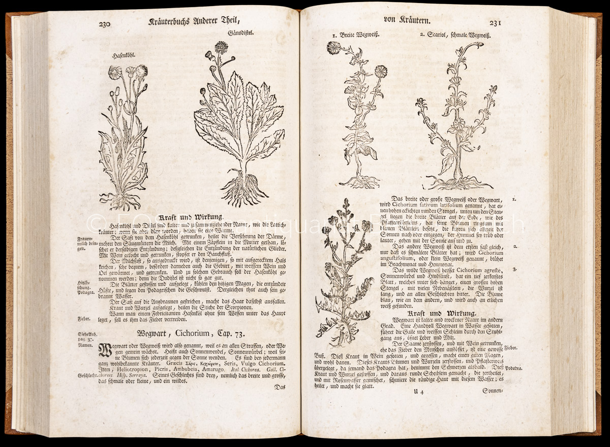 Lonicero, Adam: Vollständiges Kräuter-Buch oder - Image 3