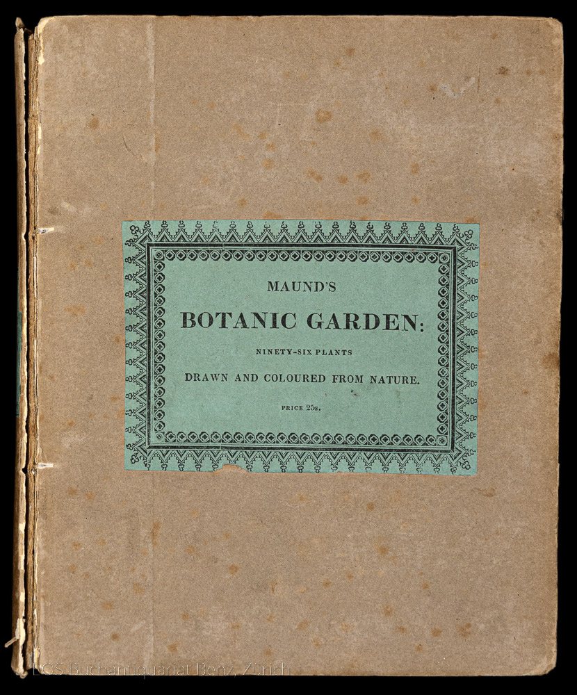 Maund, B(enjamin), Hrsg.: The Botanic Garden; consisting of Highly Finished Representations of Hardy Ornamental Flowering Plants, Cultivated in Great Britain. - Image 2