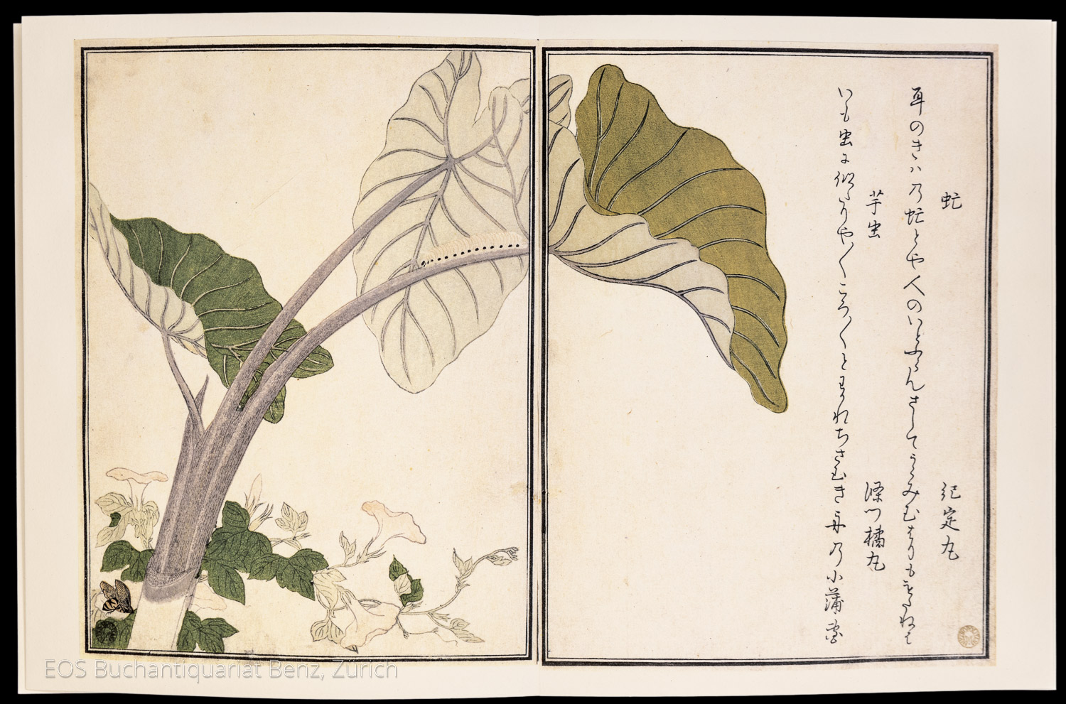 Kitagawa, Utamaro: Songs of the garden. – Bild 2