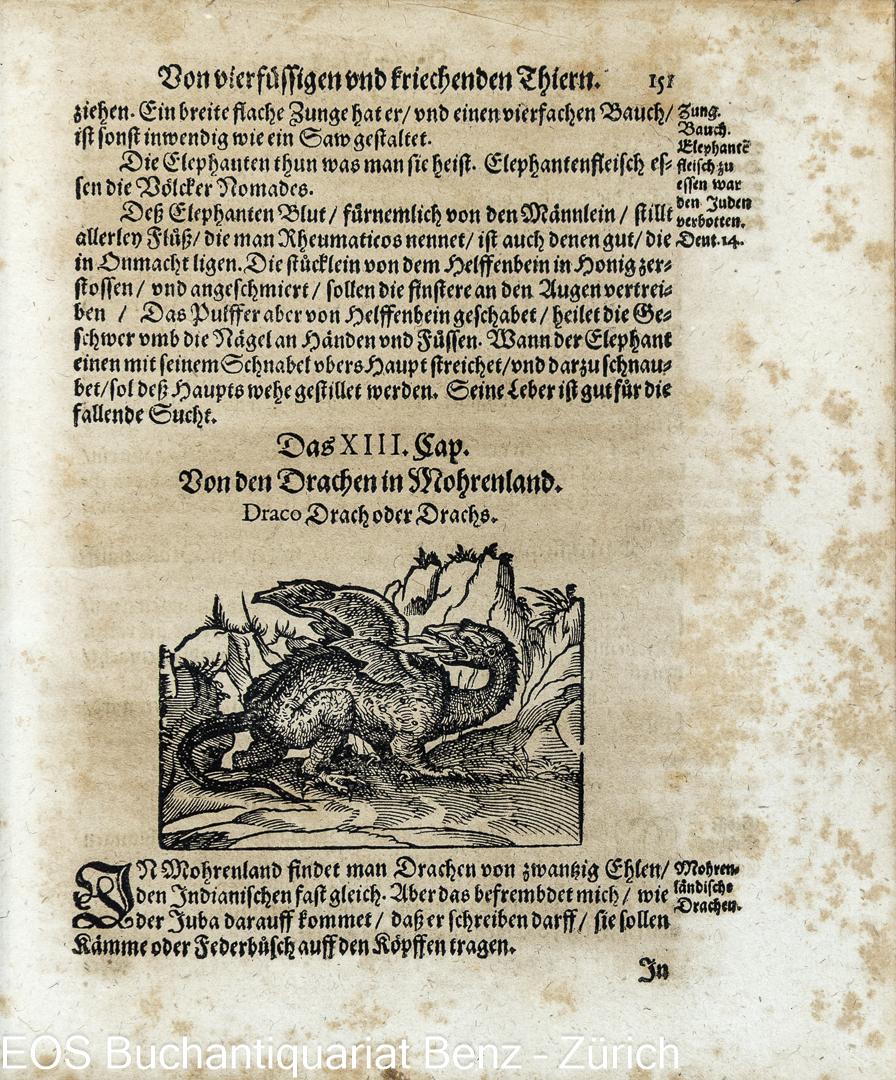 Plinius Secundus, Gaius: Caii Plinii Secundi Deß weitberühmbten hochgelehrten Philosophi und Naturkündigers/ Bücher und Schrifften/ von Natur/ Art und Eigenschafft aller Creaturen oder Geschöpffe Gottes. – Bild 3