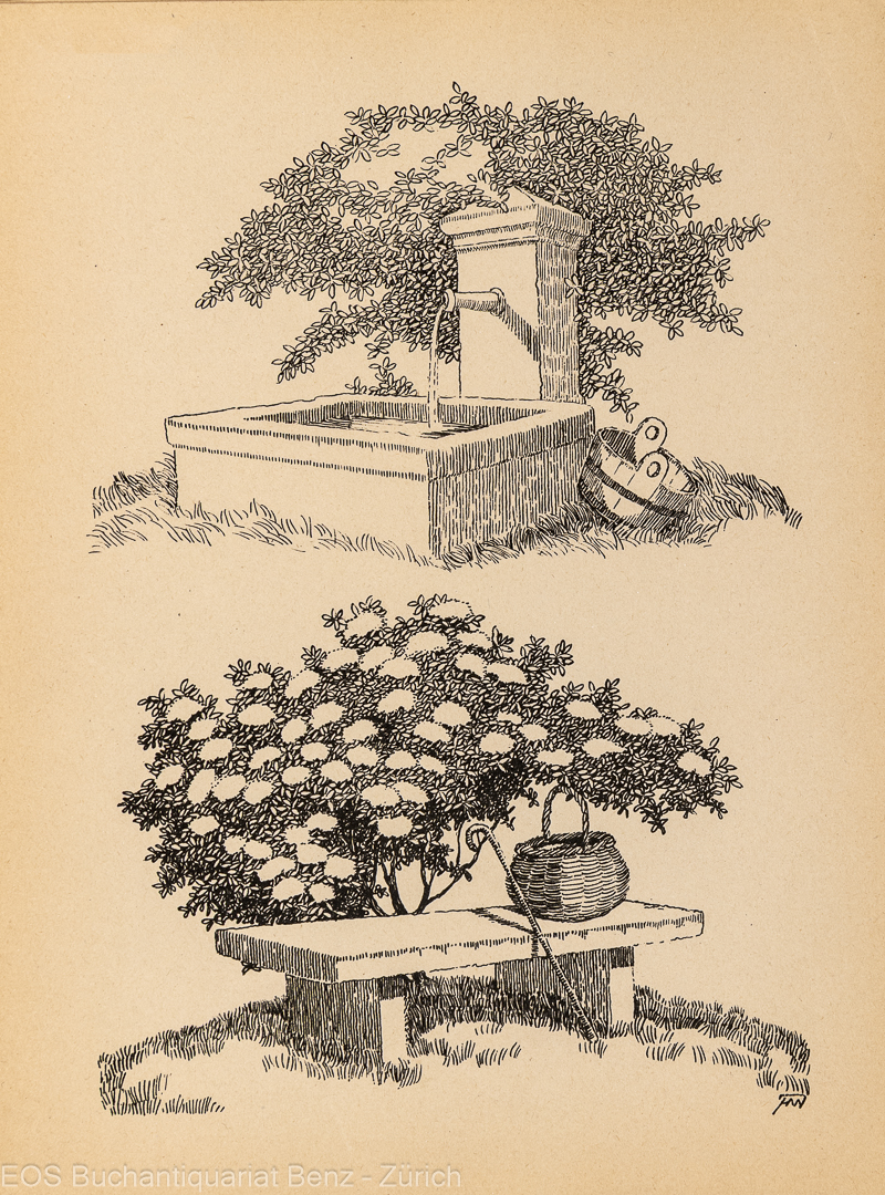 Witzig, Hans (1889-1973): Modèles de Dessin. – Bild 2