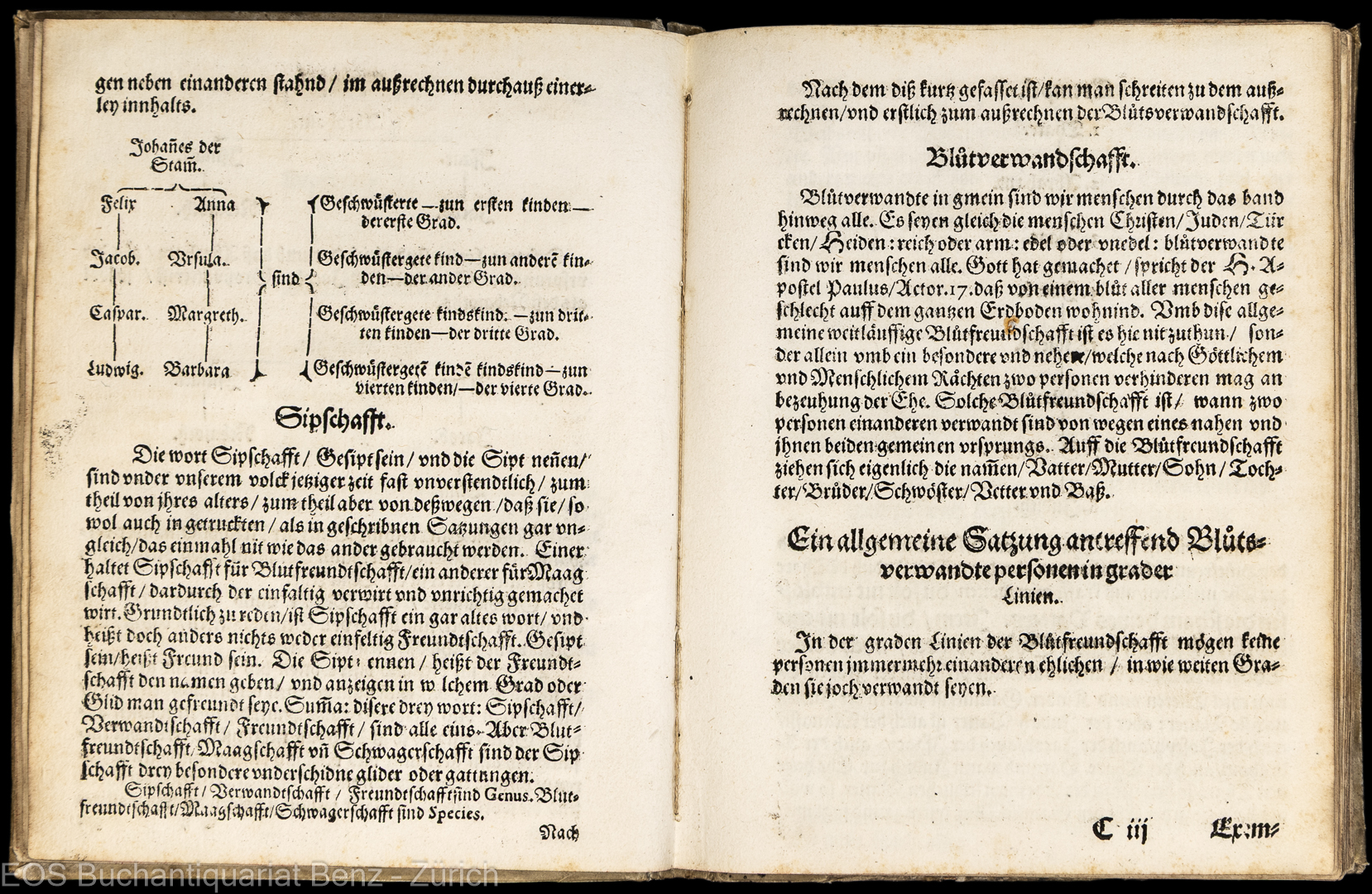 Breitinger, Johann Jakob (1575–1645); Verstendtliche Anleitung, wie man in Statt unnd Landtschafft Zürich außrechnen solle die Freundschafft. - Image 2