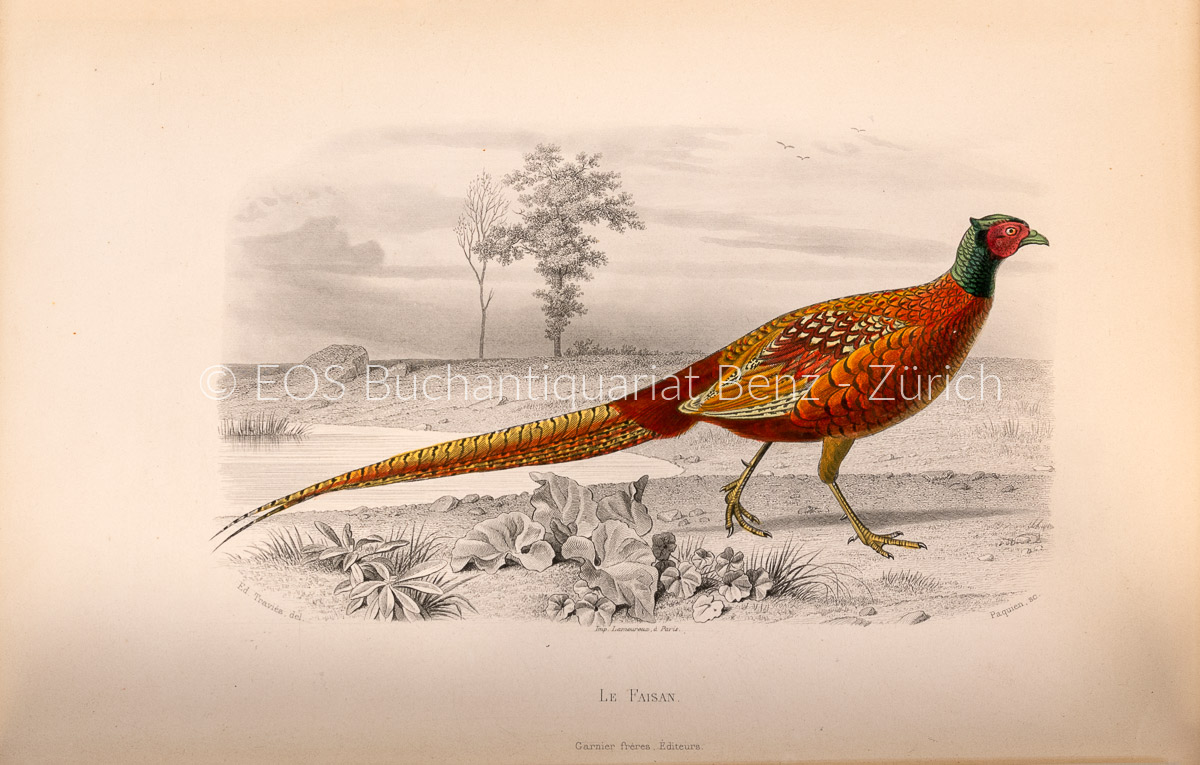 Sainte-Beuve, (Charles Augustin), Herausgeber: Galerie d'histoire naturelle tirée des oeuvres complètes de Buffon. – Bild 2