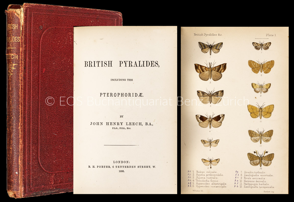 Leech, John Henry: -British Pyralides Including the Pterophoridae.