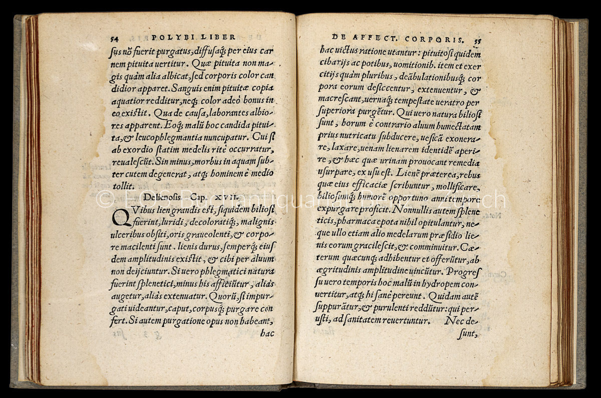Polybe de Cos: Polybi illustris medici. – Bild 2