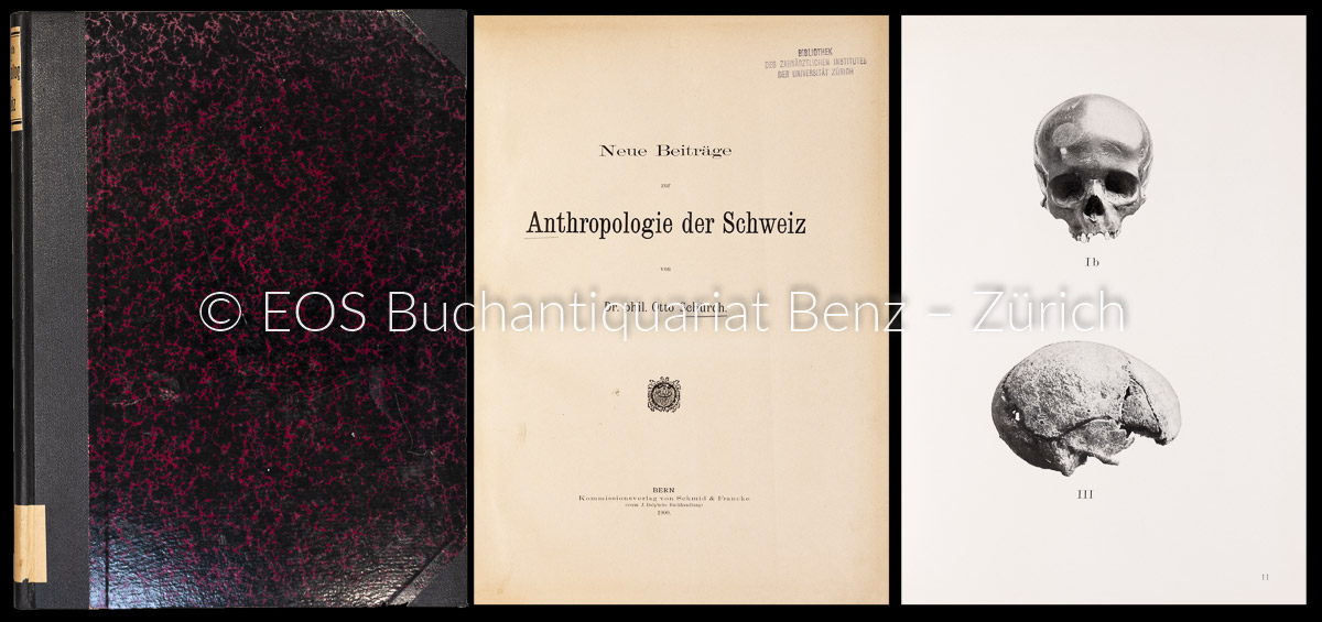 Schürch, Otto: -Neue Beiträge zur Anthropologie der Schweiz.