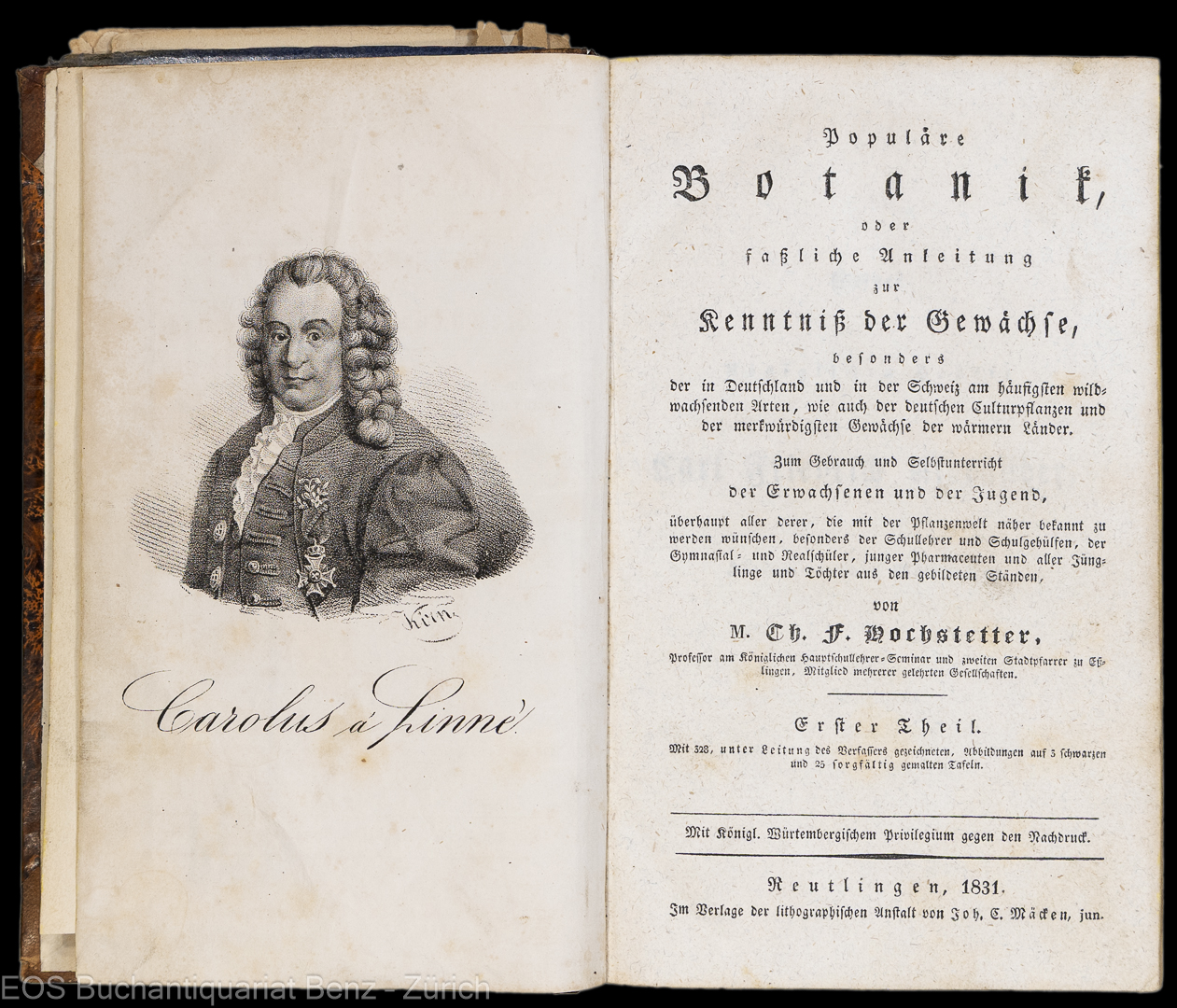 Hochstetter, Ch(ristian) F(erdinand Friedrich): Populäre Botanik, - Image 2