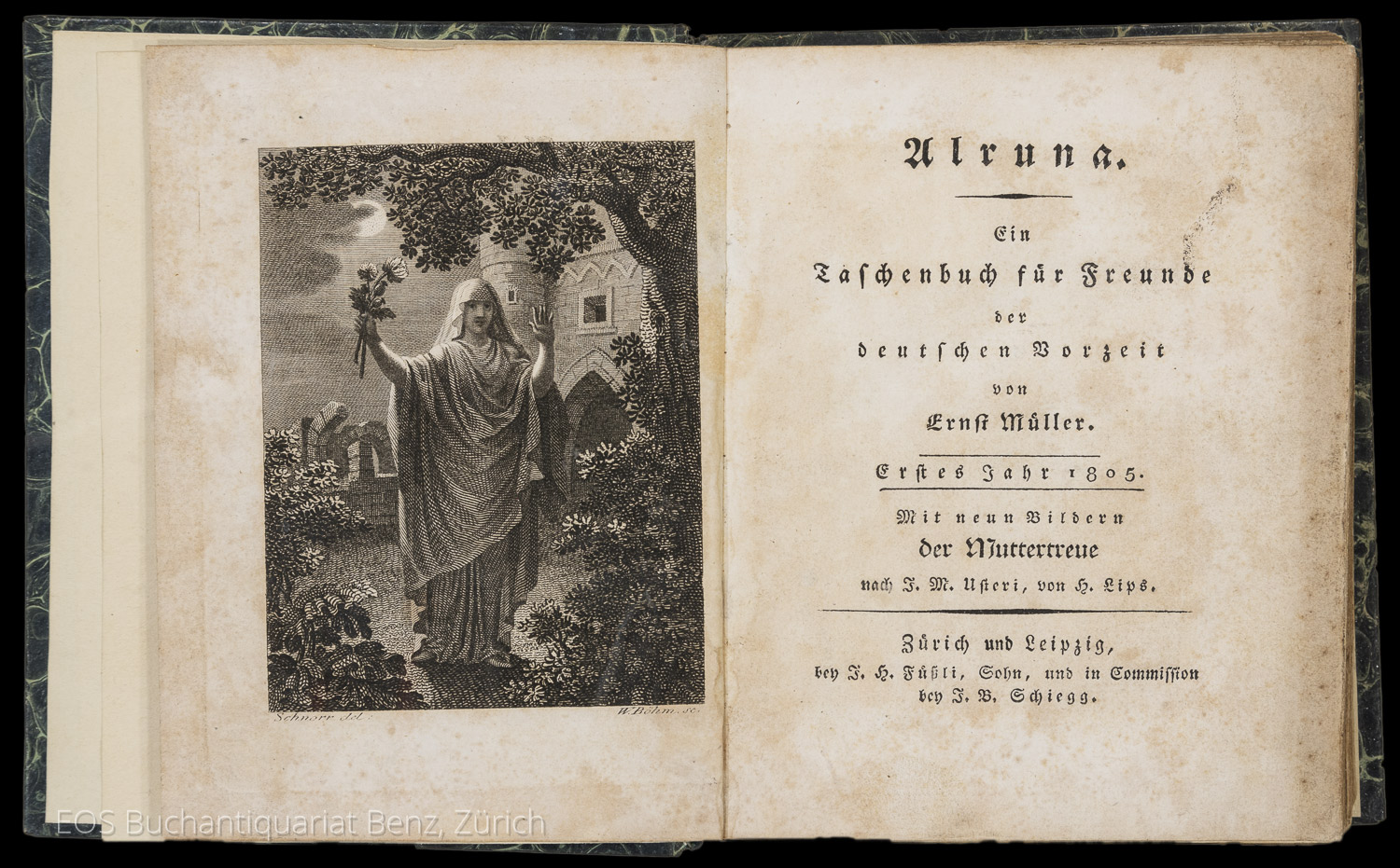 Müller, Ernst: Alruna. - Image 2