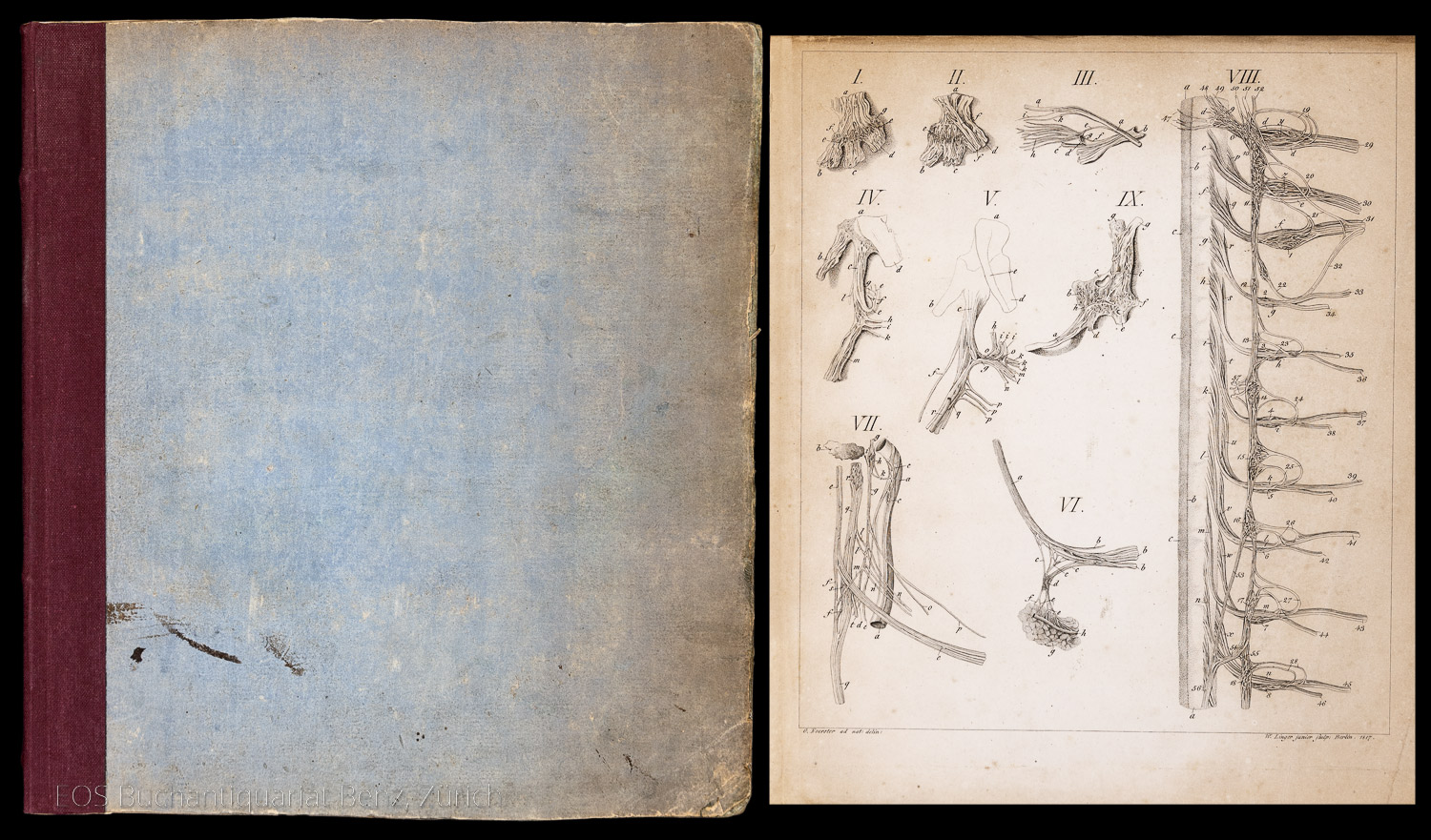 Wutzer, Karl Wilhelm: De corporis humani gangliorum fabrica atque usu monographia. – Bild 2