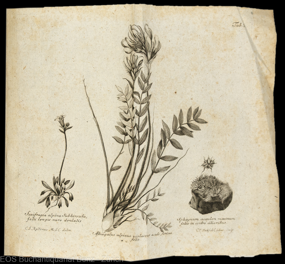 Haller, Albrecht von: Alberti Haller... Iter Helveticum anni MDCCXXXVIIII. Et Iter Hercynicum anni MDCCXXXVIII. - Image 2