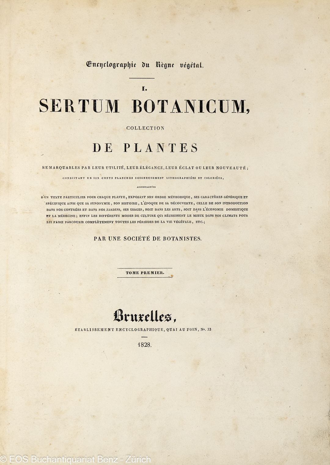 Geel, Pierre Corneille van: Sertum botanicum. – Bild 2