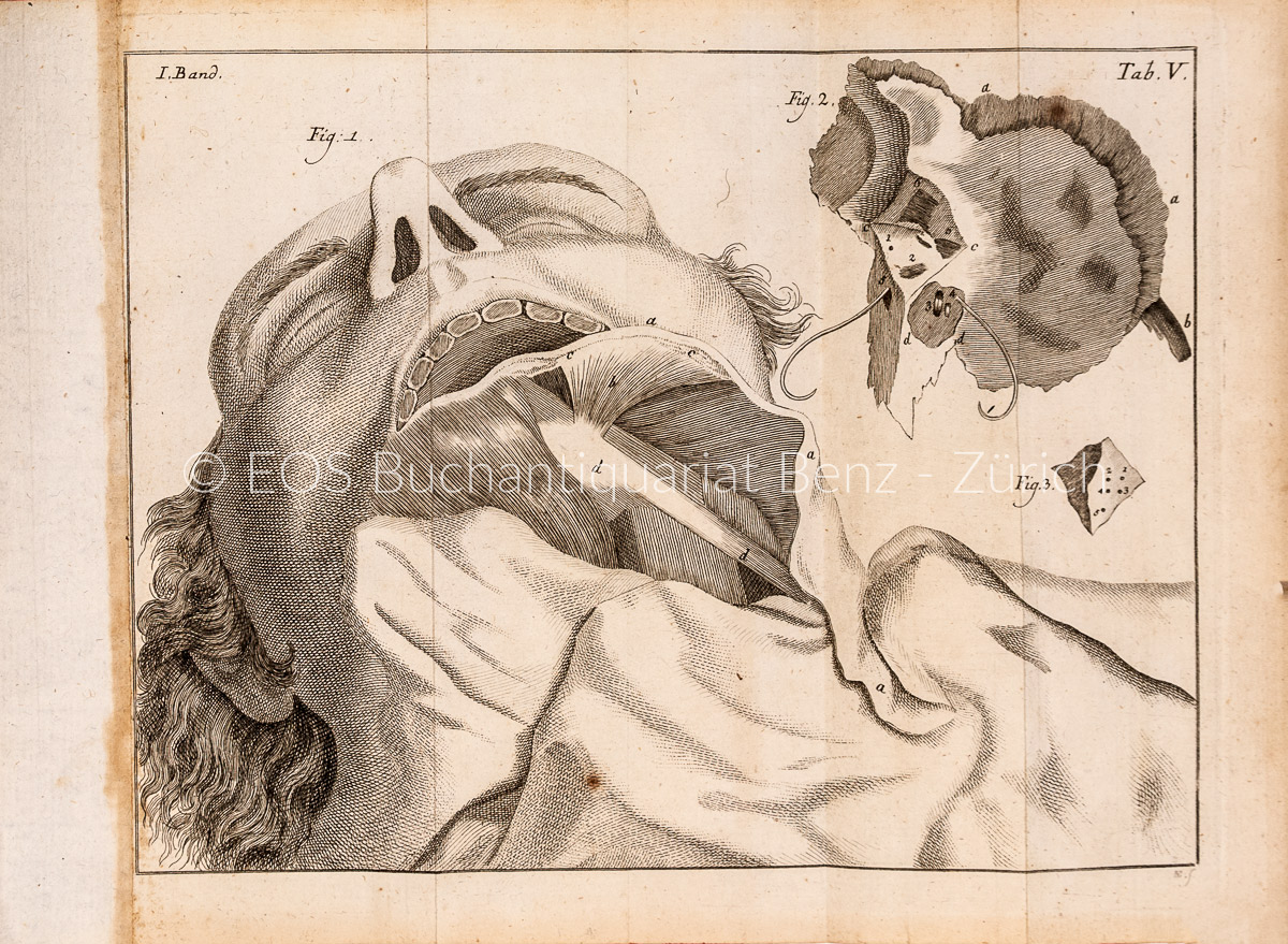 Lieutaud, Joseph: Zergliederungskunst - Image 2