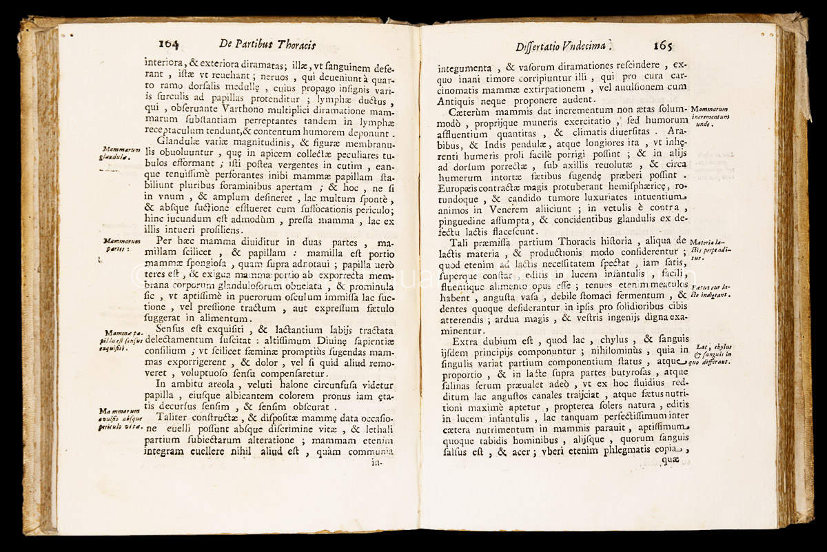 Hartmann, Johannes: Anthropologia physico-medico-anatomica... - Image 2