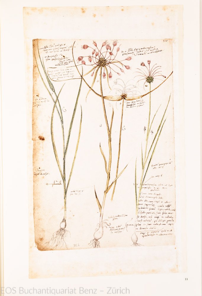 Gessner, Conrad: Historia Plantarum. - Image 2