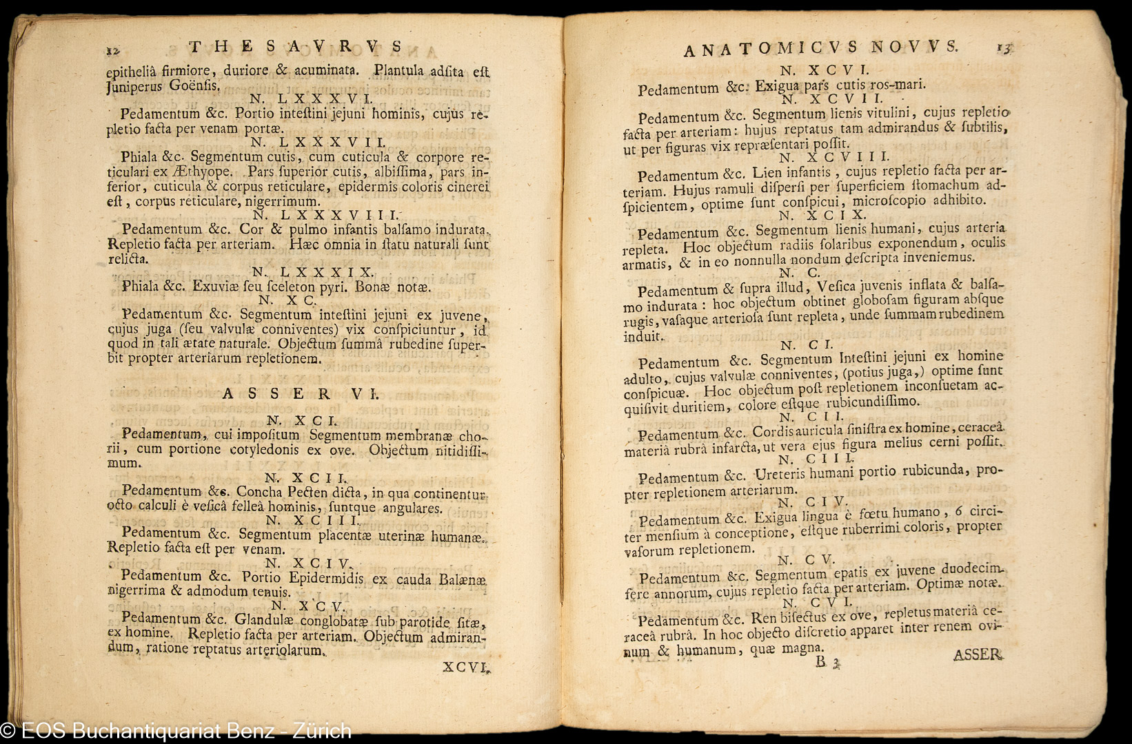 Ruysch, Frederik: Curae renovatae seu, - Image 2
