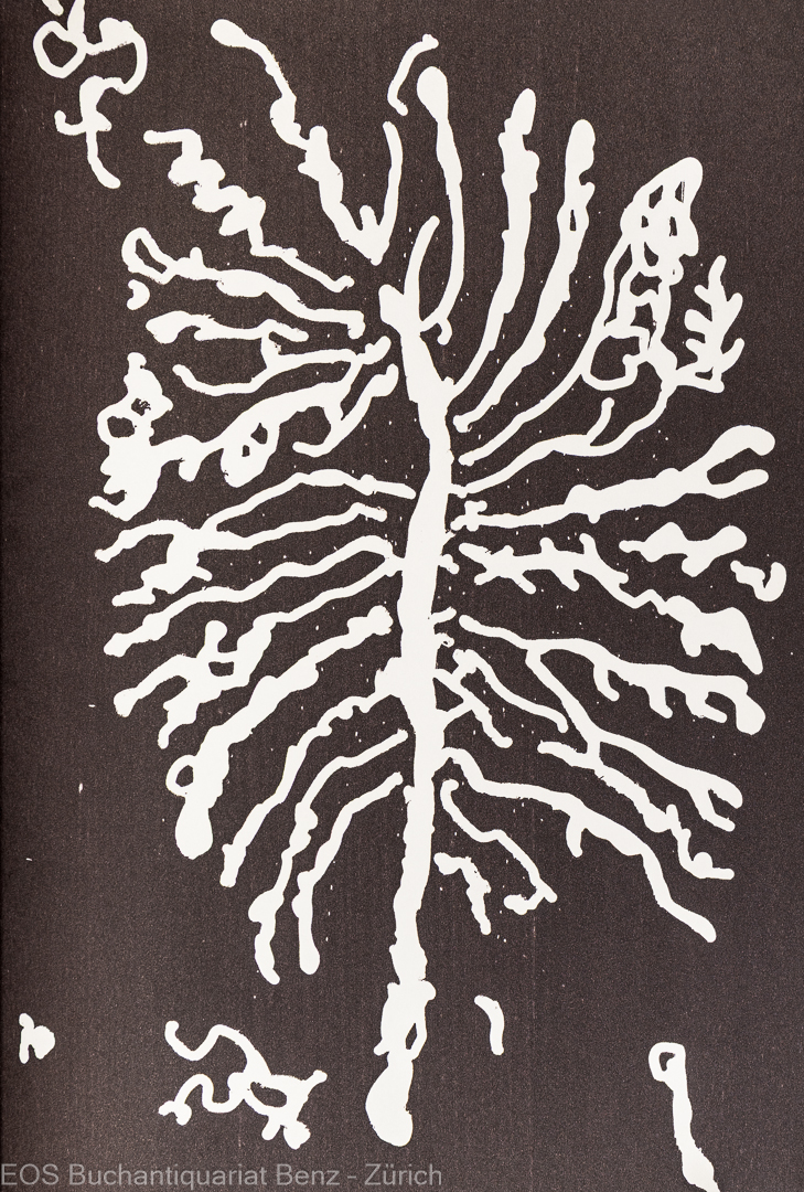 Jubeldruck Xylon. – Bild 2