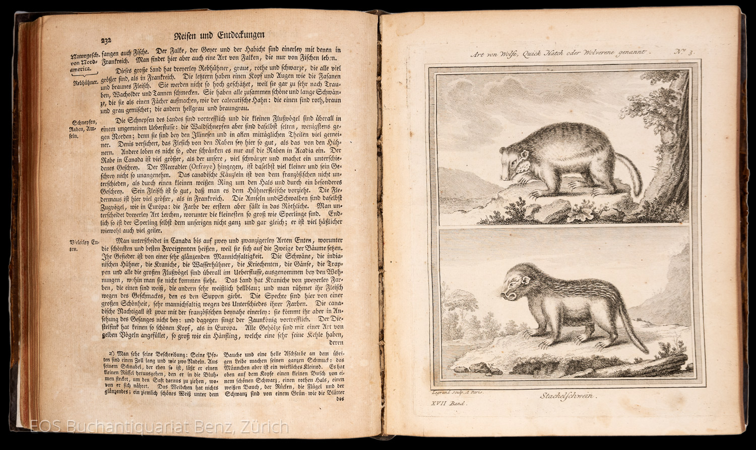 Schwabe, Johann Joachim, Hrsg.: Allgemeine Historie der Reisen zu Wasser und zu Lande, oder Sammlung aller Reisebeschreibungen (...) worinnen der wirkliche Zustand aller Nationen vorgestellet, und das Merkwürdigste, Nützlichste und Wahrhaftigste in Europa, Asia, Africa und America (...) – Bild 2