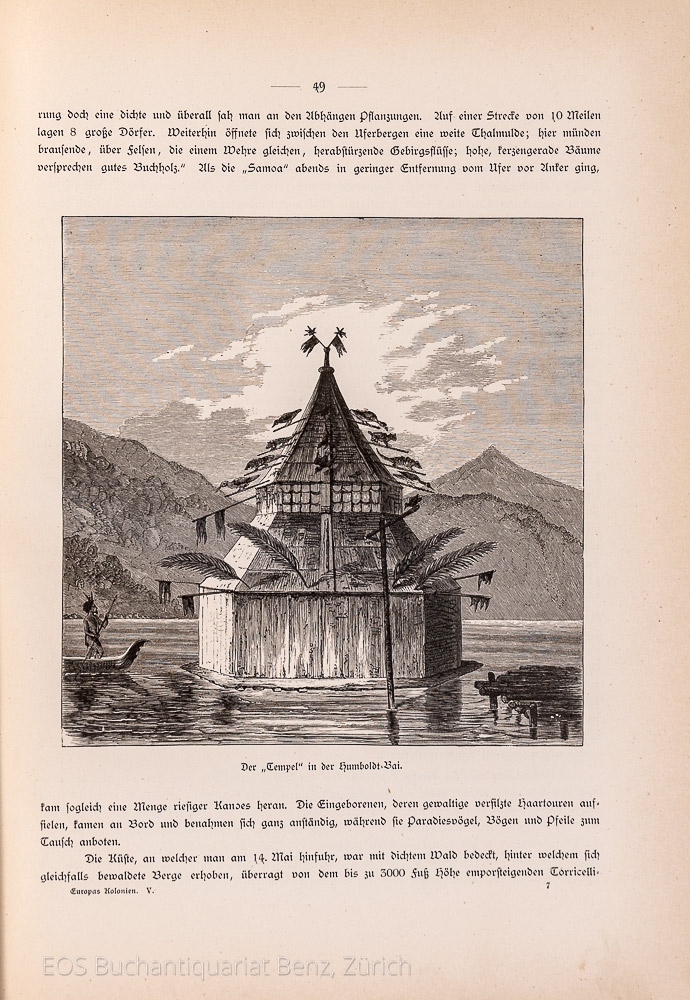 Roskoschny, Hermann: Die Deutschen in der Südsee. - Image 2