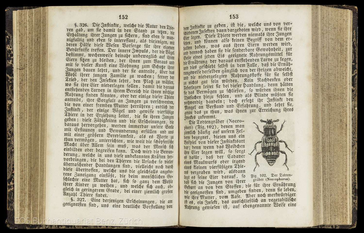Beudant, François-Sulpice et al: Populäre Naturgeschichte der drei Reiche. - Image 2