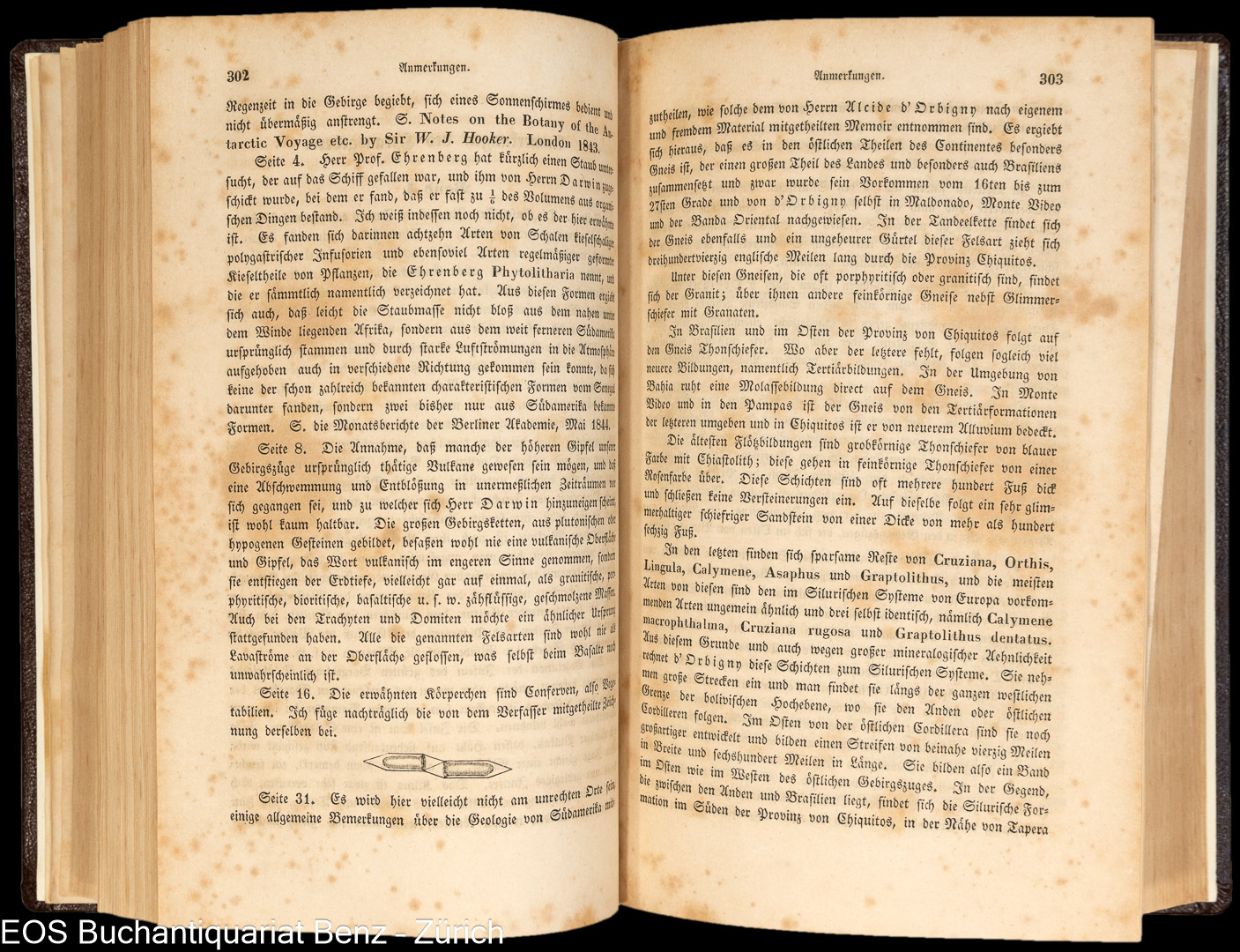 Darwin, Charles: Naturwissenschaftliche Reisen – Bild 2
