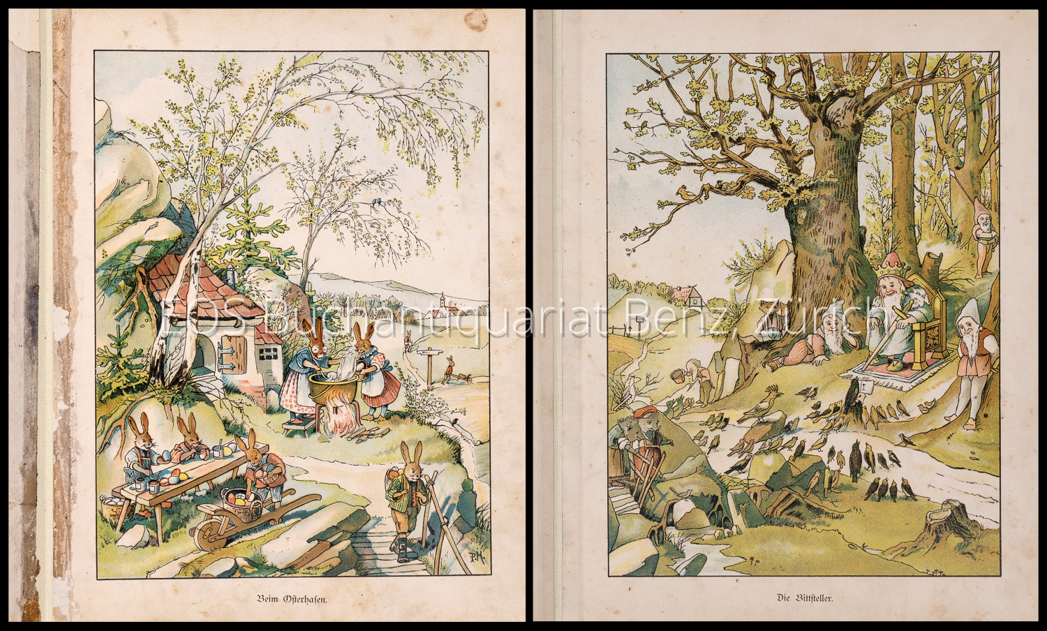 Lohmeyer, Julius: Allerlei Waldvolk. - Image 3