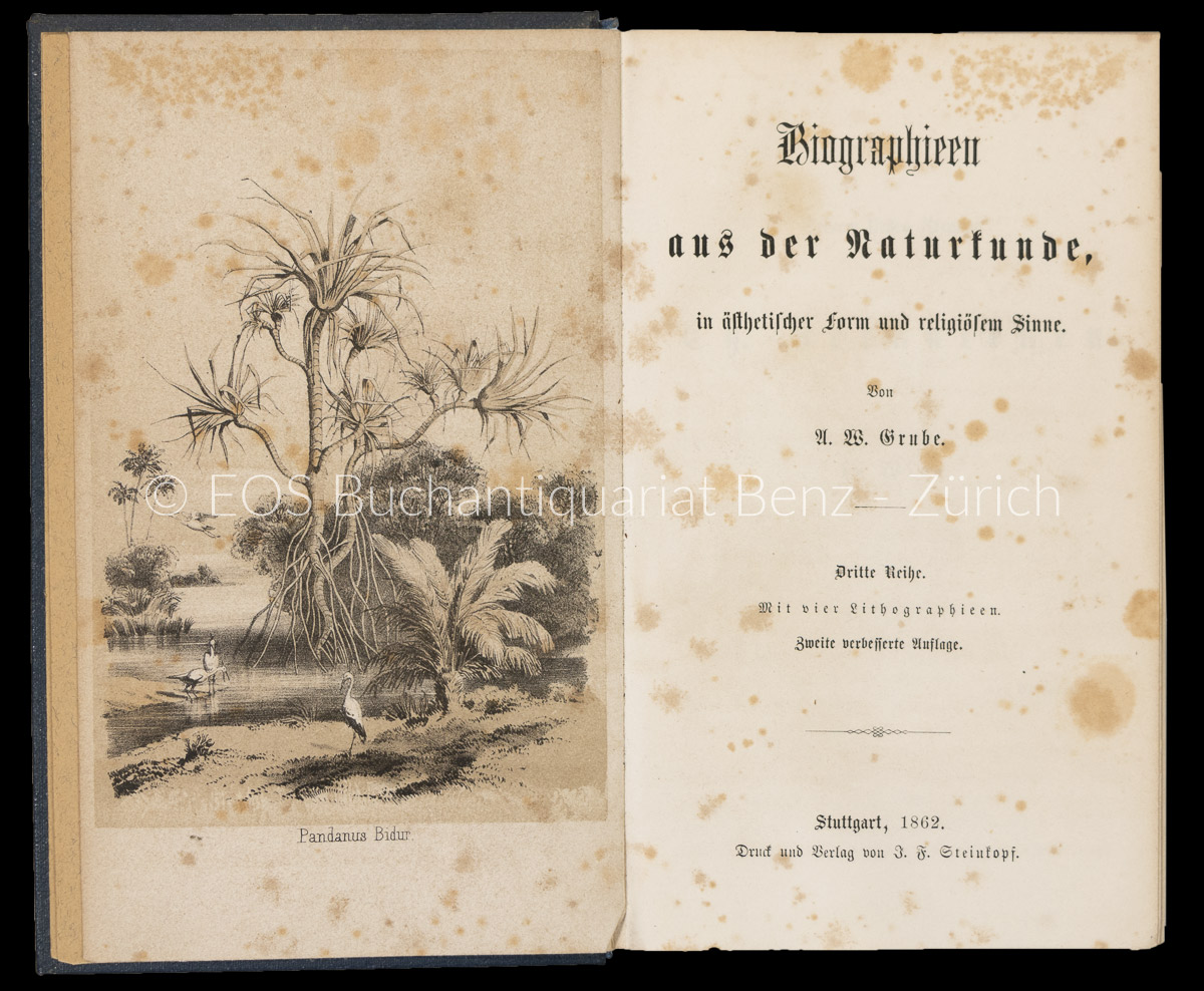 Grube, August Wilhelm: Biographieen aus der Naturkunde, - Image 2