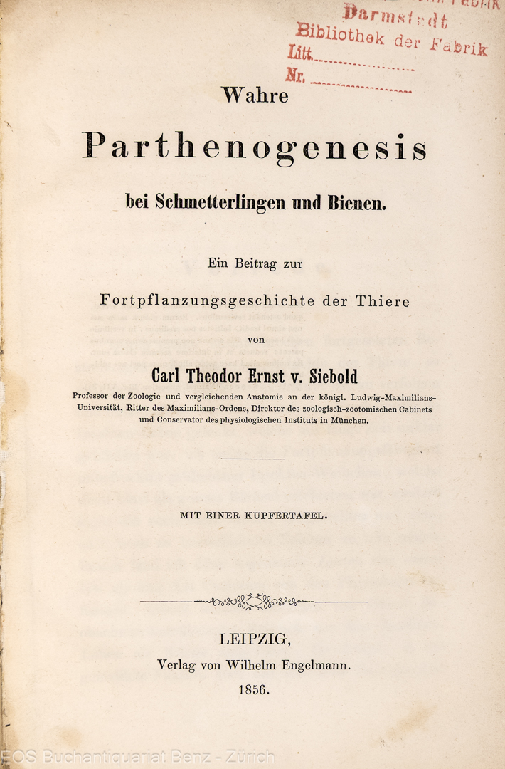 Siebold, Carl Theodor Ernst von: -Wahre Parthenogenesis bei Schmetterlingen und Bienen.