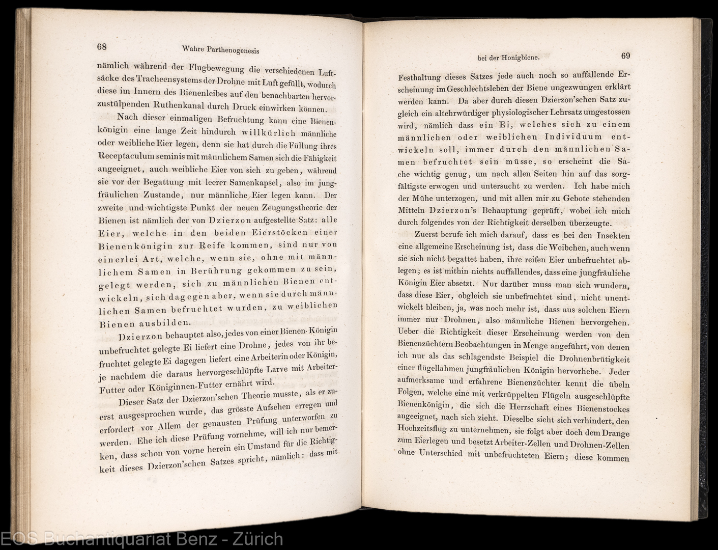 Siebold, Carl Theodor Ernst von: Wahre Parthenogenesis bei Schmetterlingen und Bienen. - Image 2