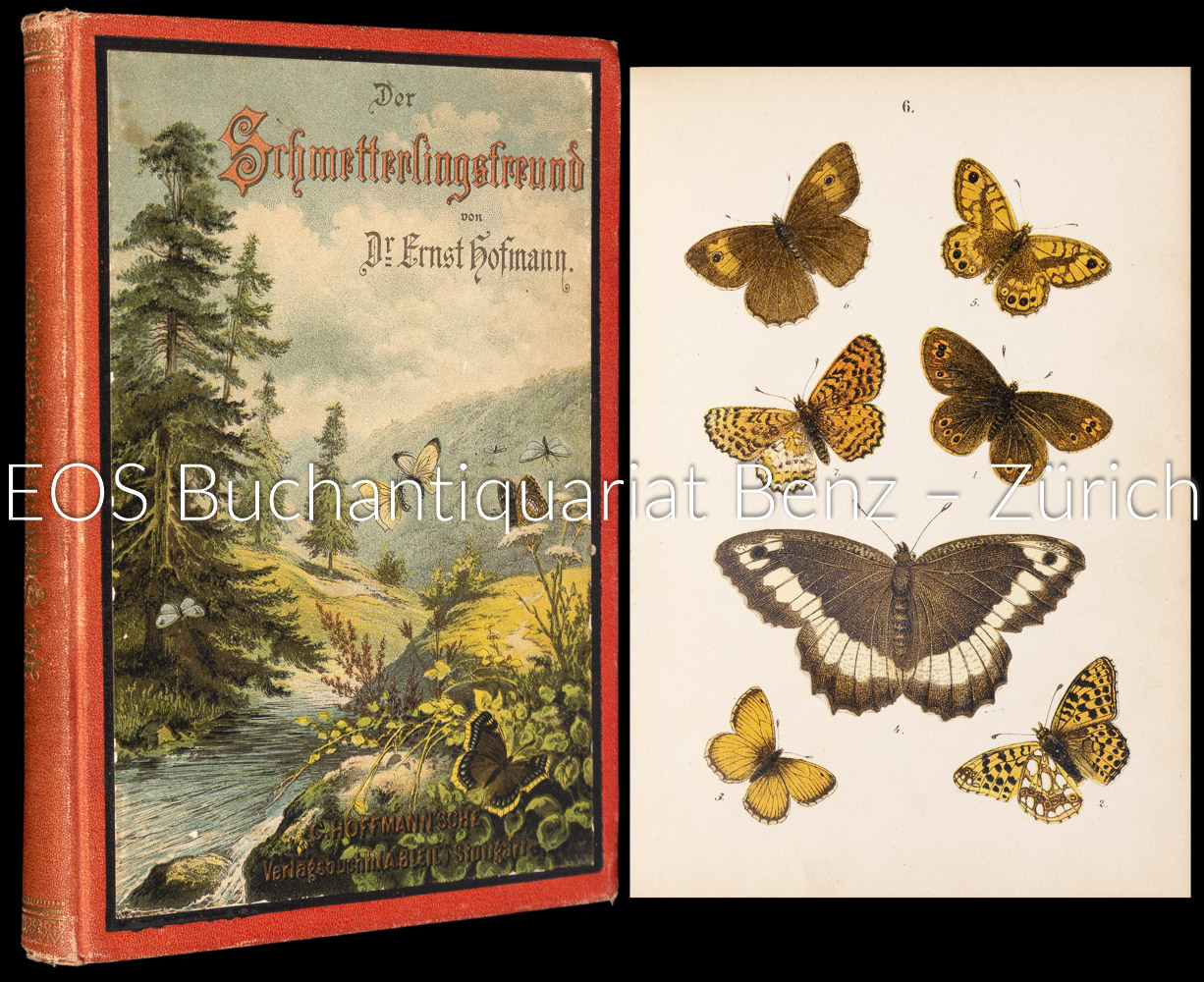 Hofmann, Ernst: -Der Schmetterlingsfreund.
