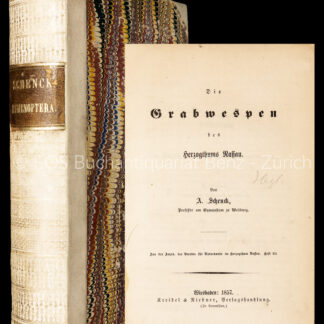 Schenck, Adolf: -Die Grabwespen des Herzogthums Nassau. –