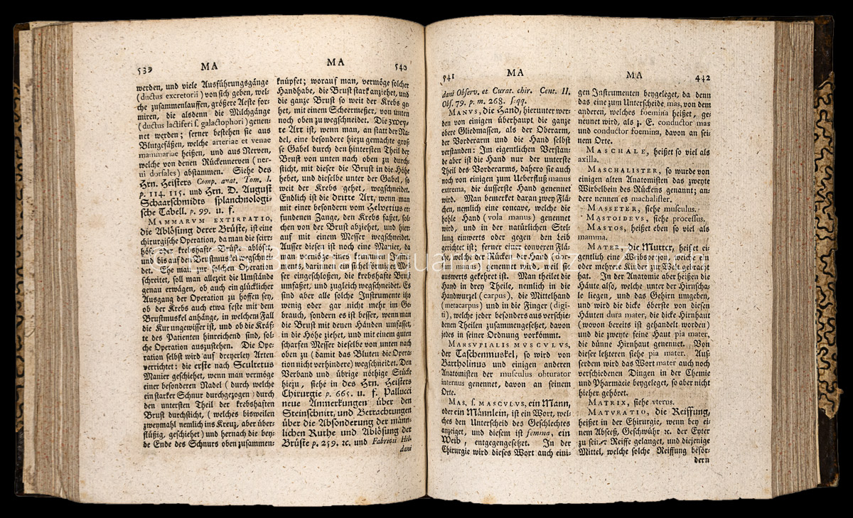 Kurella, Ernst Gottfried: Anatomisch-Chirurgisches Lexicon oder Wörterbuch ... - Image 2