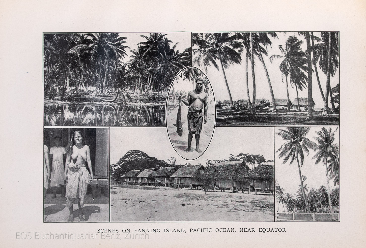Coffee, Frank: Forty Years on the Pacific. - Image 2