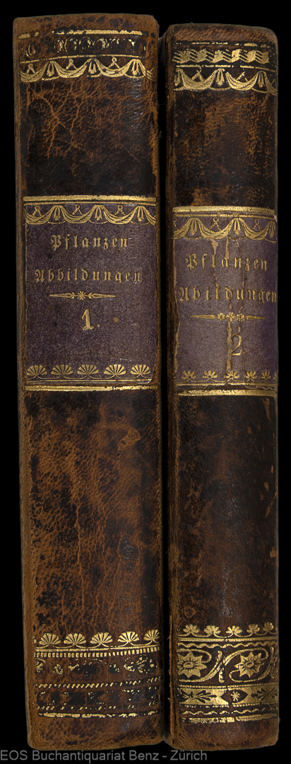 Hegetschweiler, Joh(annes): -Sammlung von Schweizer Pflanzen