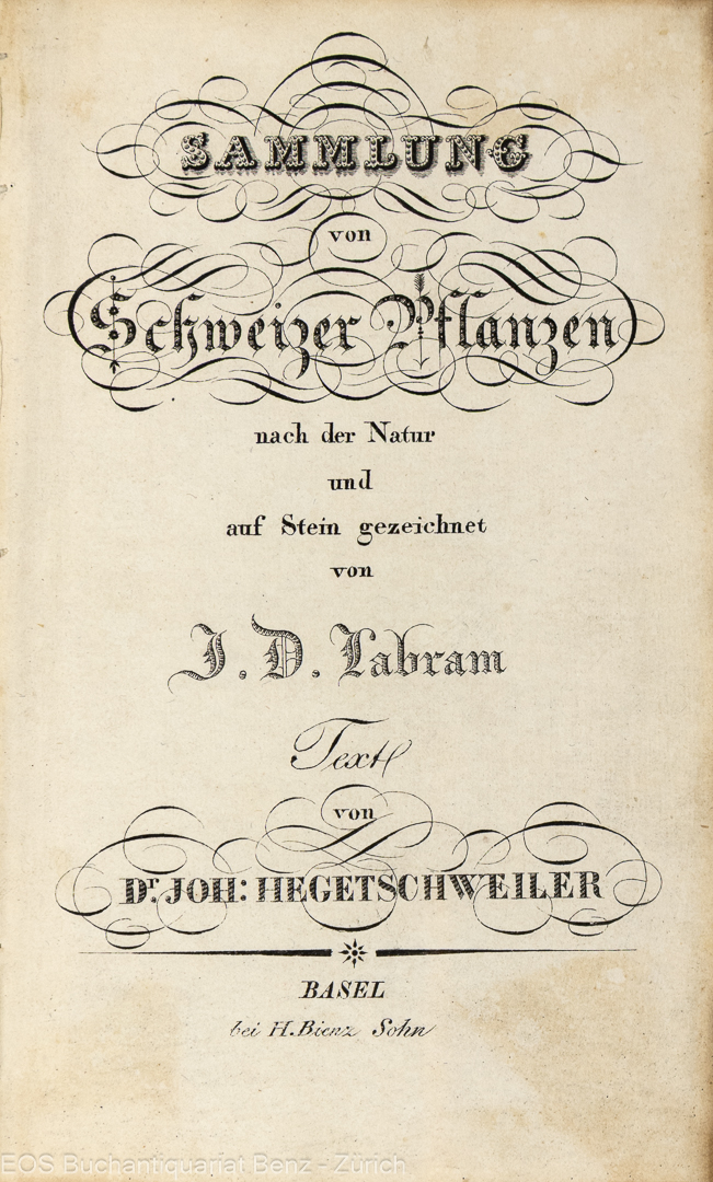 Hegetschweiler, Joh(annes): Sammlung von Schweizer Pflanzen – Bild 2