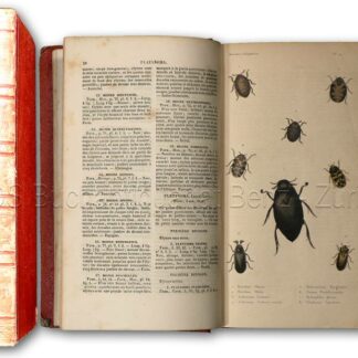 Castelnau, (François): -Histoire naturelle des insectes coléoptères.