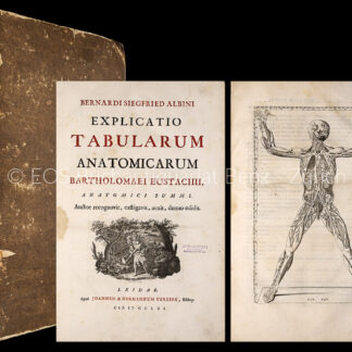 Albinus, Bernhard Siegfried: -Explicatio tabularum anatomicarum Bartholomaei Eustachii.
