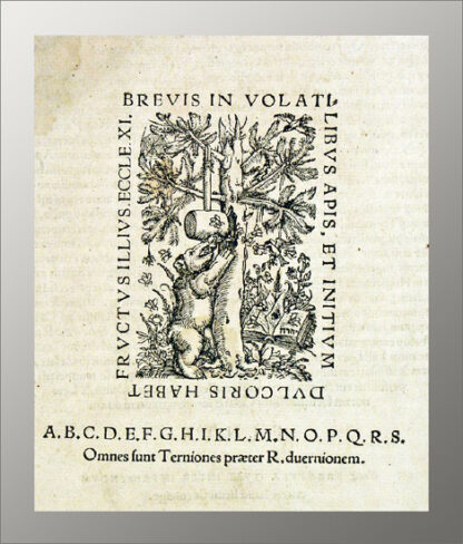 Ryd, Valerius Anselmus: -Catalogus anorum