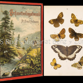 Hofmann, Ernst: -Der Schmetterlingsfreund.
