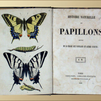 Costan, Alf.: -Histoire naturelle des papillons