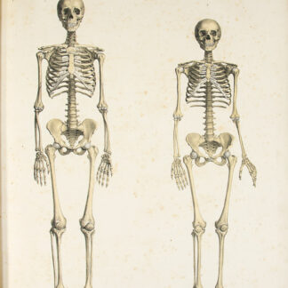 Arnold, Friedrich: -Tabulae anatomicae.
