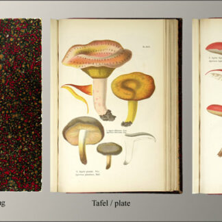 Cordier, F(rançois) S(imon): -Les champignons.